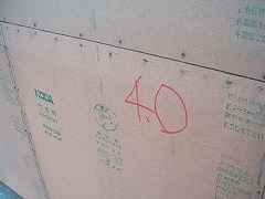 20101124-4