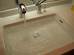 img20100621-5