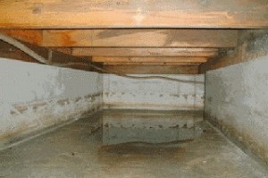 o0320021310651496673