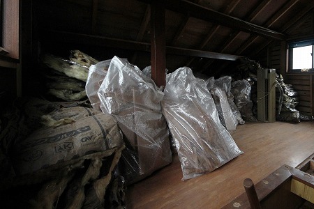 s-223-IMG_6453